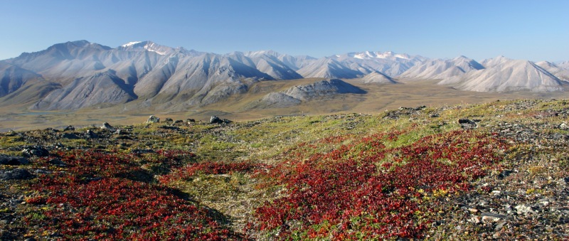 More than breathtaking scenery. Dr. Matthew Wallenstein is studying the relationship between plant growth, Arctic soil microbes, and carbon sequestration in Alaska’s Brooks Range.