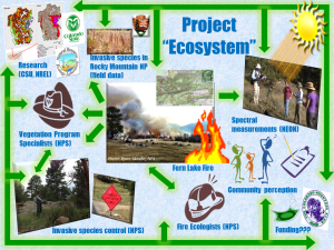 Figure 5. Conceptual diagram of the Project “Ecosystem”.